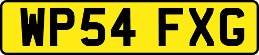 WP54FXG