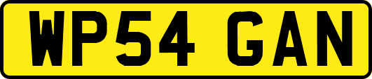 WP54GAN