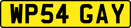 WP54GAY