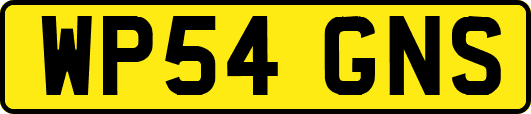 WP54GNS