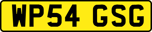 WP54GSG