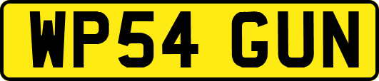WP54GUN