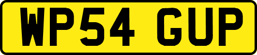 WP54GUP