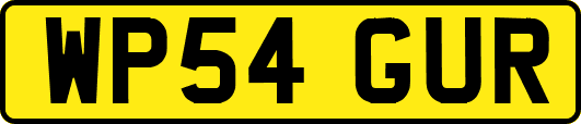 WP54GUR