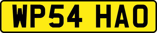 WP54HAO