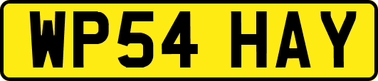 WP54HAY