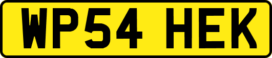 WP54HEK