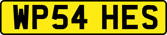 WP54HES