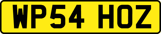 WP54HOZ