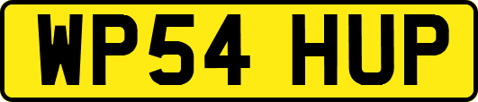 WP54HUP