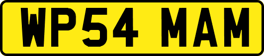 WP54MAM