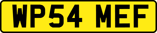 WP54MEF