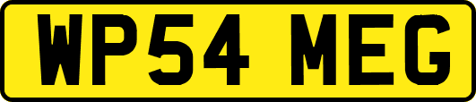 WP54MEG