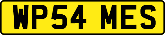 WP54MES
