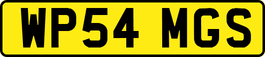 WP54MGS