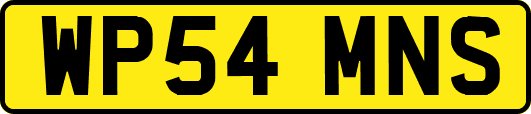 WP54MNS