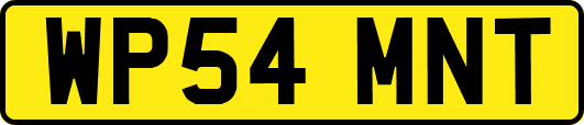 WP54MNT