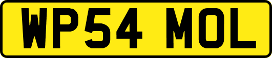 WP54MOL
