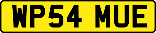 WP54MUE