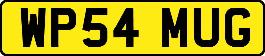 WP54MUG