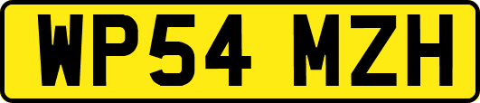 WP54MZH