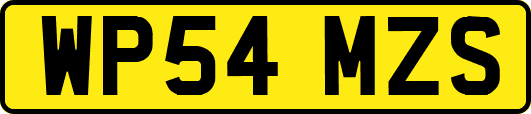 WP54MZS