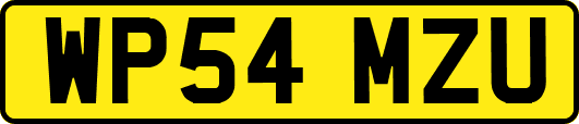 WP54MZU