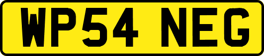 WP54NEG