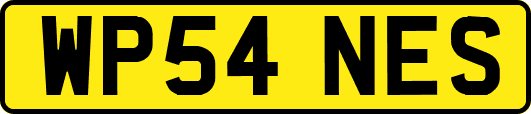WP54NES