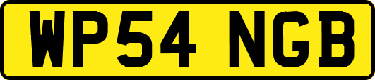 WP54NGB