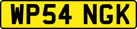 WP54NGK
