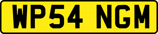 WP54NGM