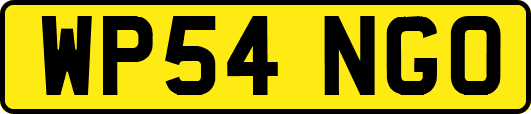 WP54NGO