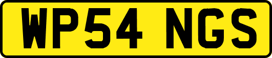 WP54NGS