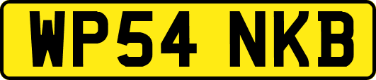 WP54NKB