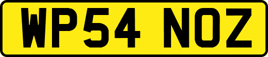 WP54NOZ