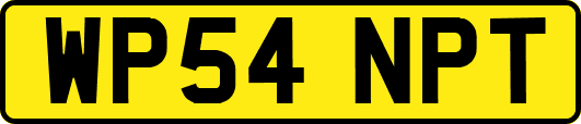 WP54NPT