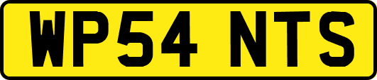 WP54NTS