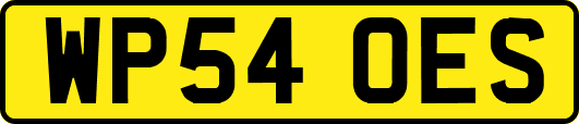 WP54OES