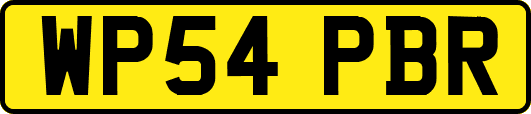 WP54PBR