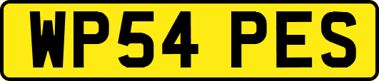 WP54PES