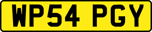 WP54PGY