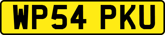WP54PKU