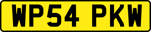 WP54PKW