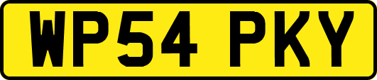 WP54PKY
