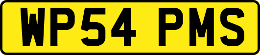 WP54PMS
