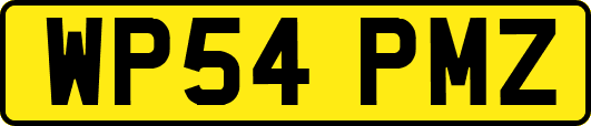 WP54PMZ