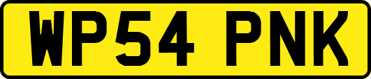 WP54PNK