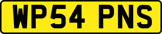 WP54PNS