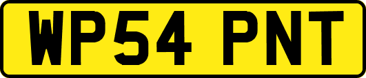 WP54PNT